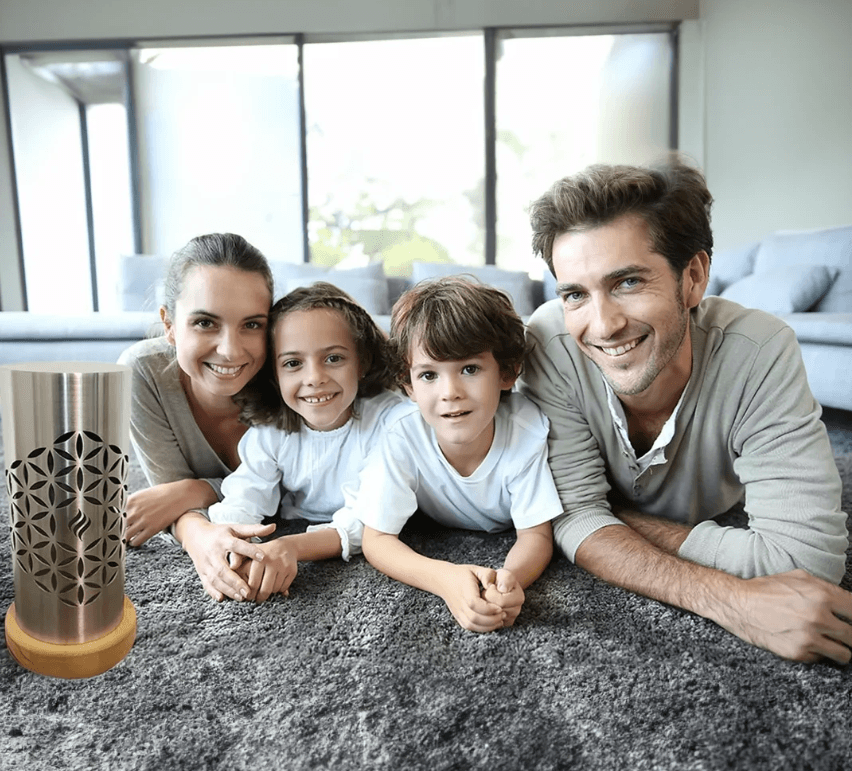 Home Harmonizer - Image 6